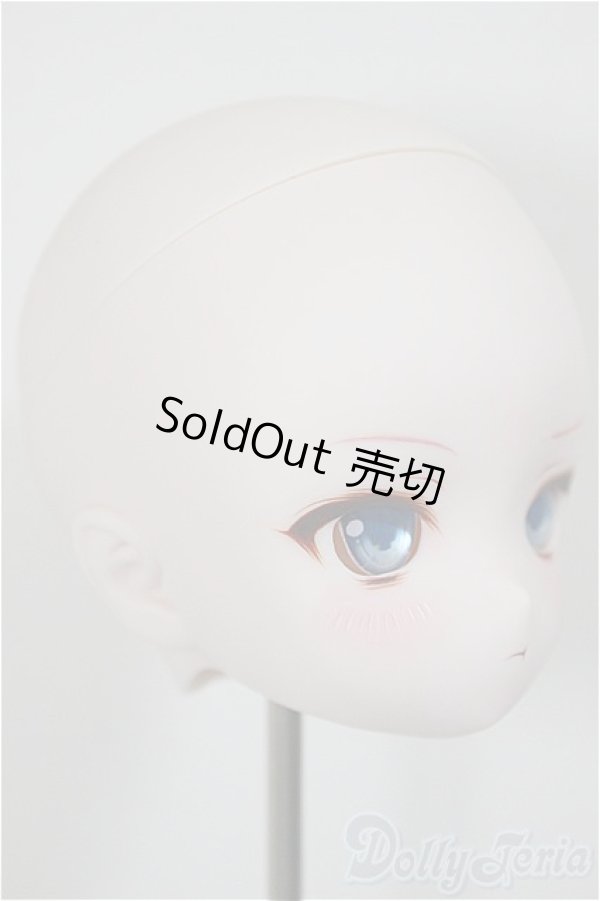 画像2: DD/DDH-28 カスタムヘッド/BJD　球体関節人形 A-25-11-05-116-NY-ZA (2)
