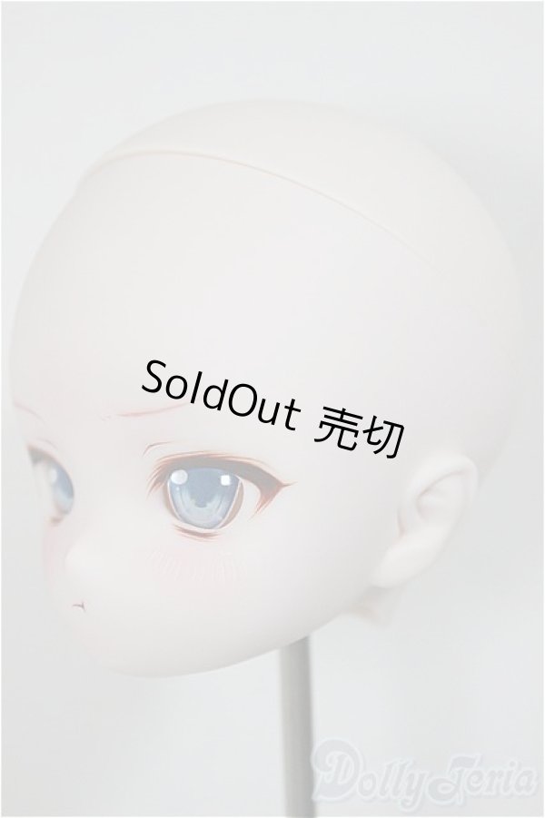 画像3: DD/DDH-28 カスタムヘッド/BJD　球体関節人形 A-25-11-05-116-NY-ZA (3)