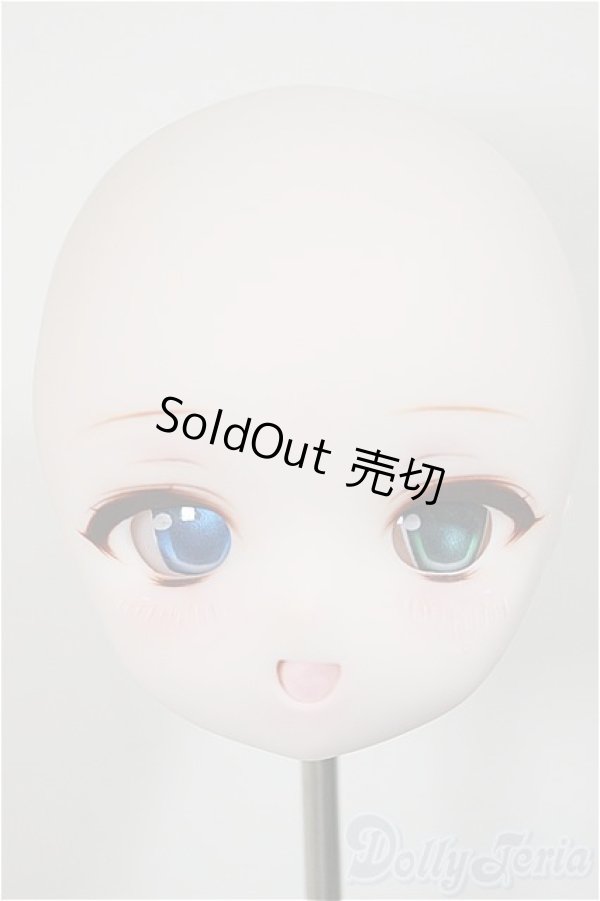 画像1: DD/DDH-01 カスタムヘッド/BJD　球体関節人形 A-25-11-05-113-NY-ZA (1)