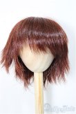 画像1: 9inch/ウィッグ　インソムニア様製/インチ　BJD　MJD　ドール用 A-25-11-05-361-NY-ZA (1)