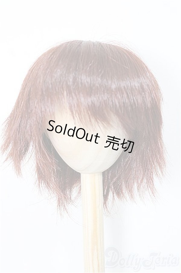 画像1: 9inch/ウィッグ　インソムニア様製/インチ　BJD　MJD　ドール用 A-25-11-05-361-NY-ZA (1)