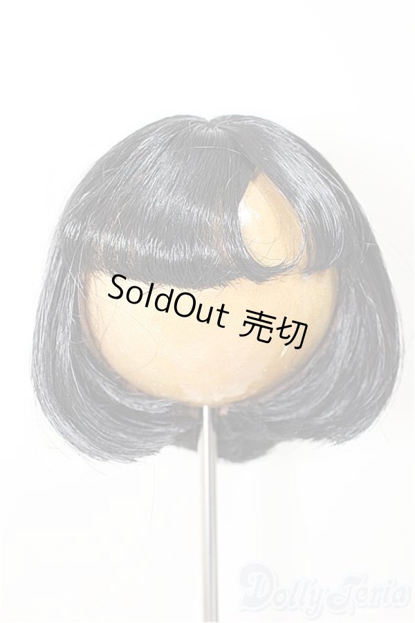 画像1: 8-9inch/ウィッグ/インチ　BJD　MJD　ドール用 A-25-11-05-359-NY-ZA (1)