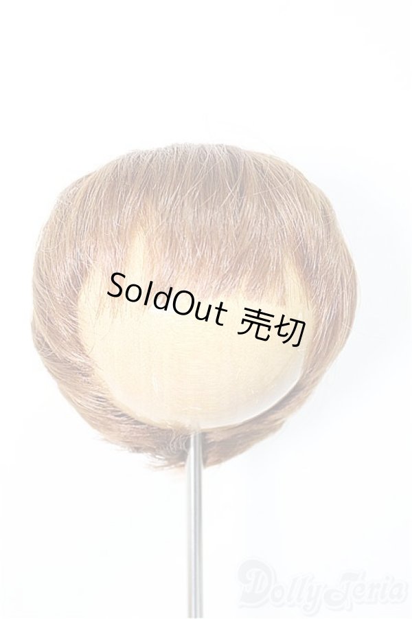 画像1: 8-9nch/ウィッグ 　CROBI製/インチ　BJD　MJD　ドール用 A-25-11-05-354-NY-ZA (1)