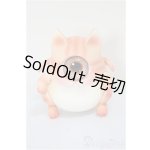 画像: Fingertip Dreamland/HEMERA MARU - golden Tabby/BJD　球体関節人形 A-25-10-29-316-NY-ZA