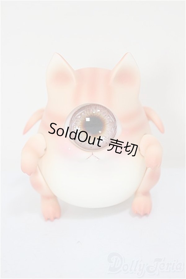 画像1: Fingertip Dreamland/HEMERA MARU - golden Tabby/BJD　球体関節人形 A-25-10-29-316-NY-ZA (1)