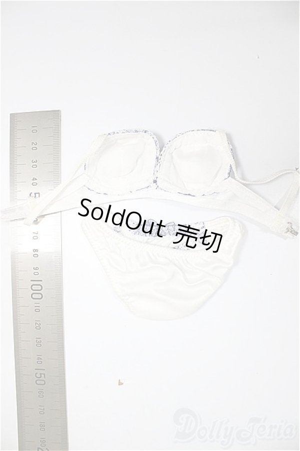 画像2: DD/OF:下着/0 A-25-11-05-245-NY-ZA (2)