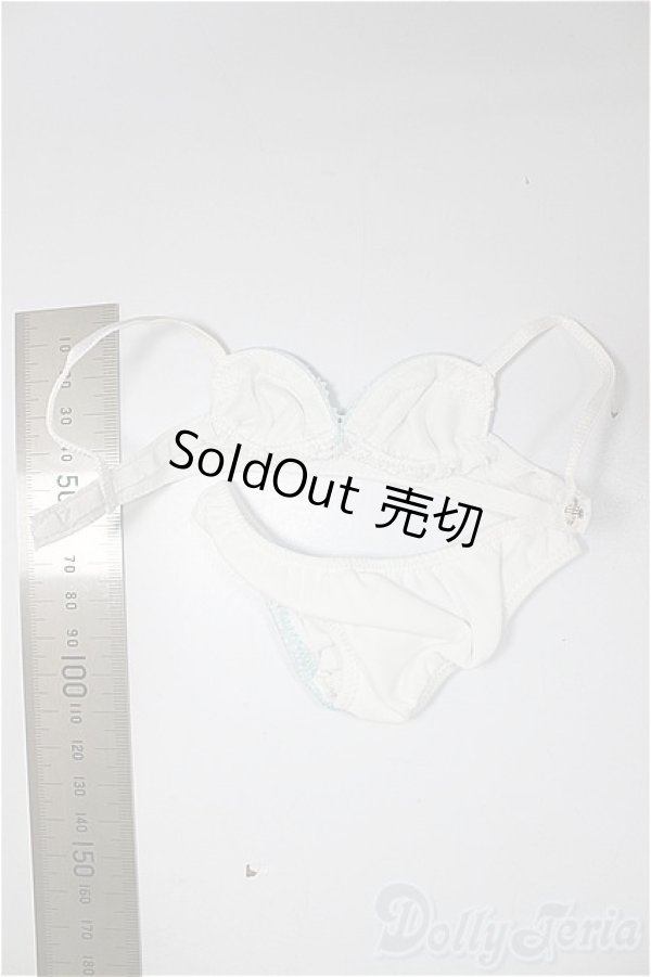 画像2: DD/OF:下着/0 A-25-11-05-247-NY-ZA (2)