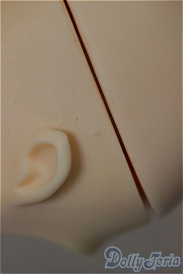 画像5: 1/6サイズヘッド/ A-25-10-29-390-NY-ZA (5)