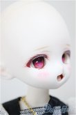 画像3: Tinyfox/X-02カスタムヘッド＆ボディ/BJD　球体関節人形 A-25-11-05-225-TN-ZA (3)