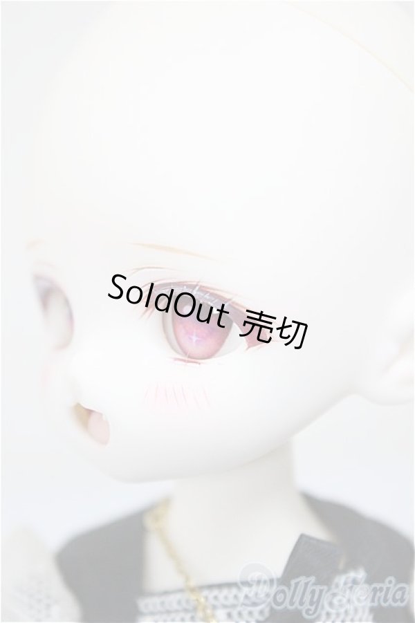 画像4: Tinyfox/X-02カスタムヘッド＆ボディ/BJD　球体関節人形 A-25-11-05-225-TN-ZA (4)