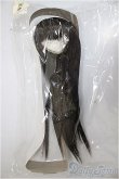 画像1: 8-9inch/ウィッグ/インチ　BJD　MJD　ドール用 A-25-11-05-251-TN-ZA (1)