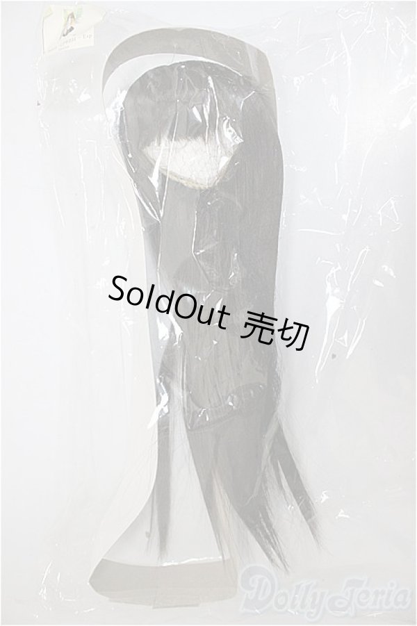 画像1: 8-9inch/ウィッグ/インチ　BJD　MJD　ドール用 A-25-11-05-251-TN-ZA (1)