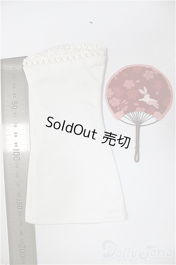 画像1: MDD/OF:下着/0 A-25-11-05-296-NY-ZA (1)