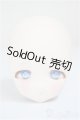 画像: DD/DDH-27　カスタムヘッド/BJD　球体関節人形 A-25-11-05-303-NY-ZA