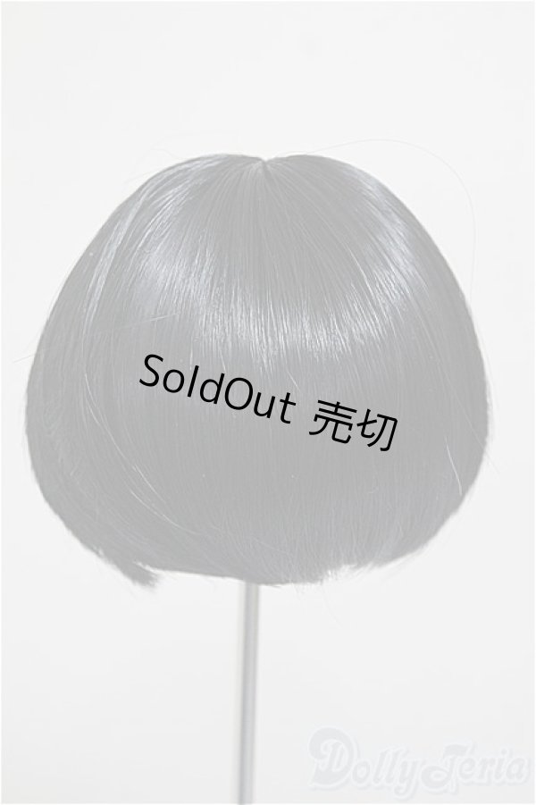 画像2: 8-9inch/ウィッグ/インチ　BJD　MJD　ドール用 A-25-11-05-328-NY-ZA (2)