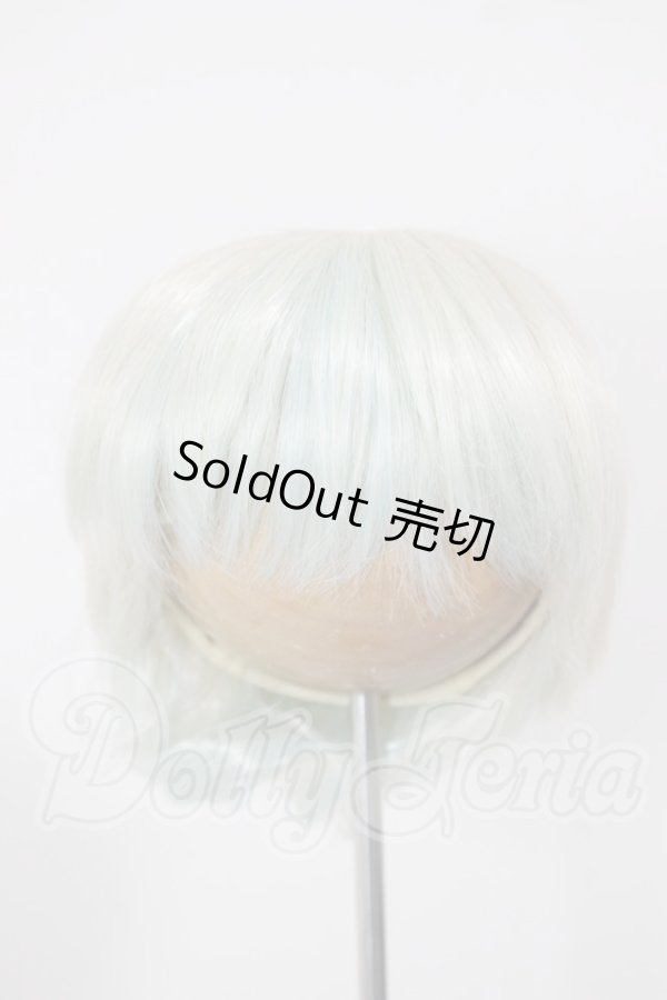 画像1: 9inch/MIMIEL様製 ウィッグ A-26-04-01-200-NY-ZA (1)