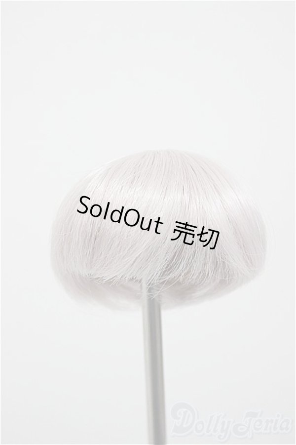 画像1: 4inch/ウィッグ/インチ　BJD　MJD　ドール用 A-25-11-05-317-NY-ZA (1)