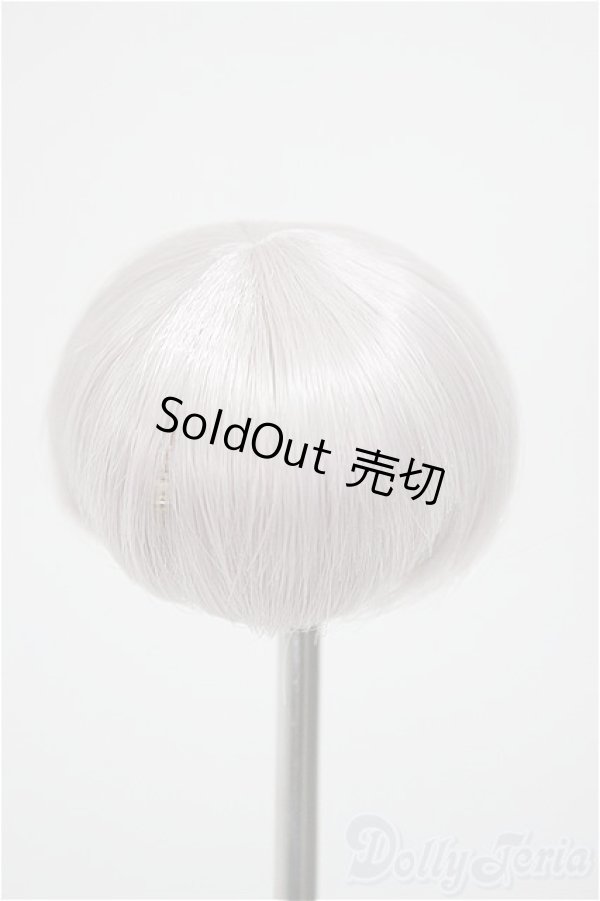 画像2: 4inch/ウィッグ/インチ　BJD　MJD　ドール用 A-25-11-05-317-NY-ZA (2)