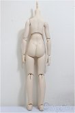 画像2: MDD/ベースボディIII/BJD　球体関節人形 A-25-11-05-370-NY-ZA (2)
