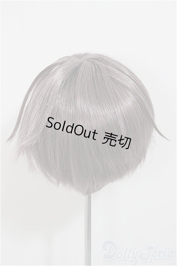 画像2: 9inch/ウィッグ/インチ　BJD　MJD　ドール用 A-25-11-12-196-NY-ZA (2)