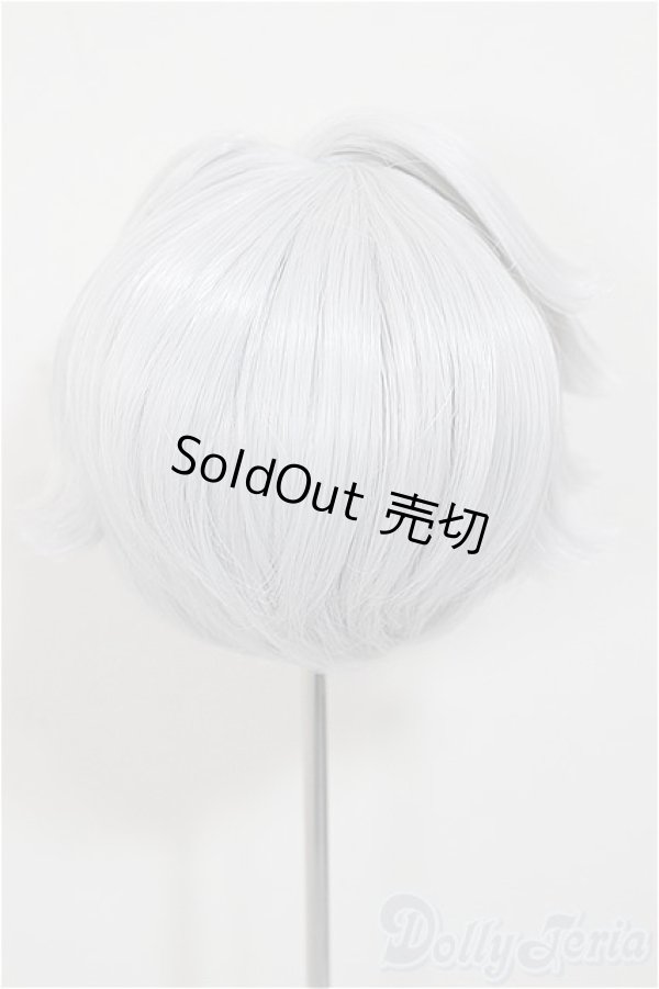 画像2: 8-9inch/ウィッグ/インチ　BJD　MJD　ドール用 A-25-11-12-197-NY-ZA (2)