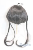 画像2: 8-9inch/ウィッグ/インチ　BJD　MJD　ドール用 A-25-11-12-089-NY-ZA (2)