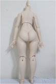 画像2: MDD/もちあしベースボディ2.0（DD-f3）/BJD　球体関節人形 A-25-11-12-153-NY-ZA (2)