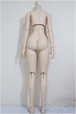 画像2: DD/DDベースボディ2.0（DD-f3）/BJD　球体関節人形 A-25-11-12-155-NY-ZA (2)
