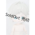 画像: ペテルソン学園/文学部/ A-25-11-12-146-NY-ZA