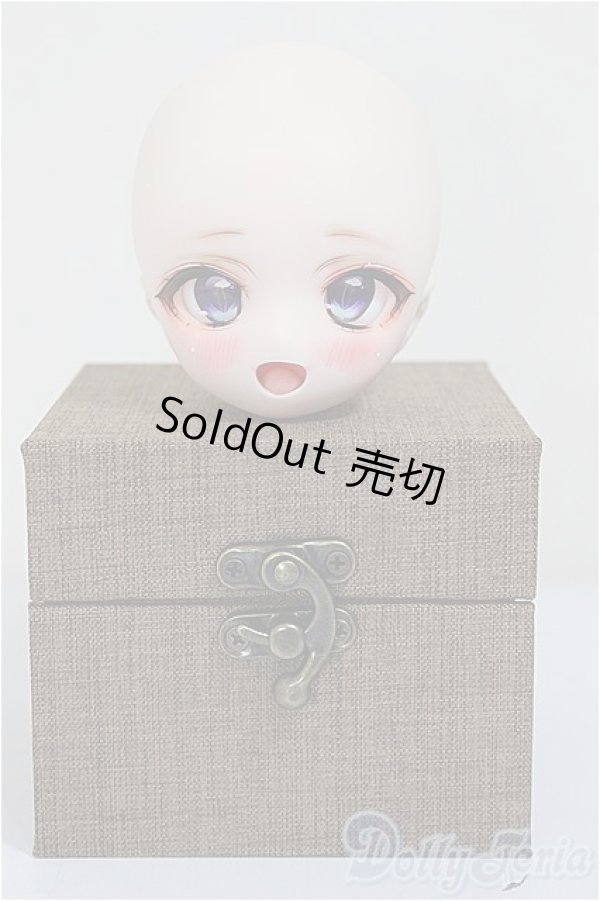画像4: DD/DDH-01:カスタムヘッド/BJD　球体関節人形 A-25-11-12-135-NY-ZA (4)