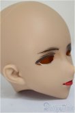 画像2: Imomodoll/Canis-ｂ/BJD　球体関節人形 A-25-11-12-144-NY-ZA (2)