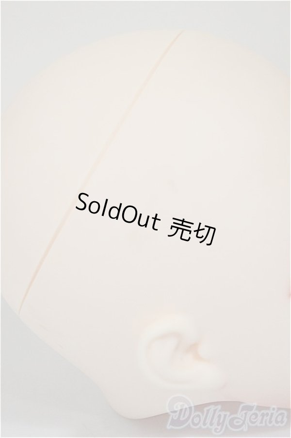 画像4: Imomodoll/Canis-ｂ/BJD　球体関節人形 A-25-11-12-143-NY-ZA (4)