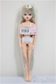 画像2: リカちゃんキャッスル/リカちゃん　ロング系　お人形教室スペシャル/BJD　球体関節人形 A-25-11-12-108-NY-ZA (2)