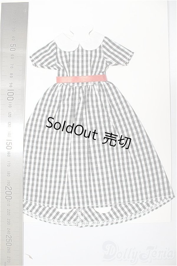 画像2: リカちゃんキャッスル/ジェニー　ドレスコレクション　9月　27cmサイズ　27SDC-18004　ギンガムチェック　ワンピース/ファッションドール　衣装 A-25-11-12-247-NY-ZA (2)