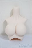 画像1: DD/上半身パーツ/BJD　球体関節人形 A-25-11-12-291-NY-ZA (1)