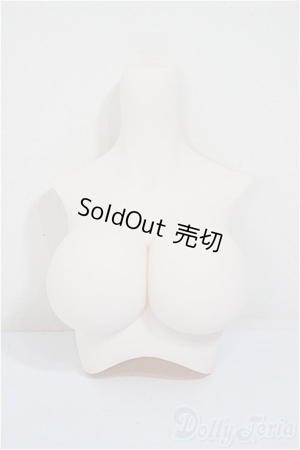 画像1: DD/上半身パーツ/BJD　球体関節人形 A-25-11-12-291-NY-ZA (1)
