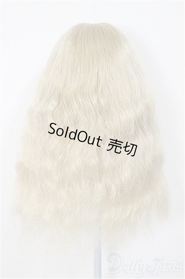 画像2: 6-7inch/ウィッグ/インチ　BJD　MJD　ドール用 A-25-11-12-181-NY-ZA (2)