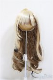 画像1: 8-9inch/ウィッグ/インチ　BJD　MJD　ドール用 A-25-11-12-266-NY-ZA (1)