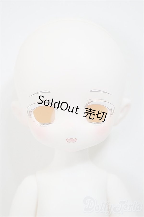 画像1: TinyFox×適当緑/猫耳量産型女子・白猫/BJD　球体関節人形 A-25-11-12-293-NY-ZA (1)