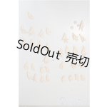 画像: 1/6サイズドール/OF:小物/0 A-25-11-12-334-NY-ZA