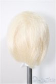 画像2: 5.5inch/ウィッグ/インチ　BJD　MJD　ドール用 A-25-11-12-331-NY-ZA (2)