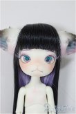 画像1: DOLLZONE/Mini Kitty　Twinkle Star /BJD　球体関節人形 A-25-11-12-313-NY-ZA (1)