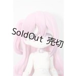 画像: 一万回の脱出計画/キツネ/ A-25-11-12-301-NY-ZA