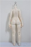 画像2: Charm Doll/CDB-G42-04 Girl Body/BJD　球体関節人形 A-25-11-12-315-NY-ZA (2)
