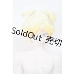 画像: シチリアの追憶/ゴールデンレトリバー/ A-25-11-12-351-NY-ZA