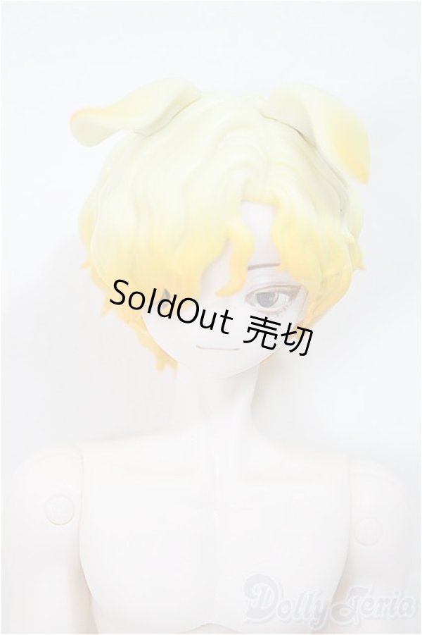 画像1: シチリアの追憶/ゴールデンレトリバー/ A-25-11-12-351-NY-ZA (1)