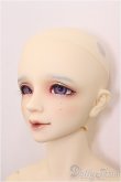 画像2: SDGr男の子/F-74　オーダーメイク/BJD　球体関節人形 A-25-11-12-360-NY-ZA (2)