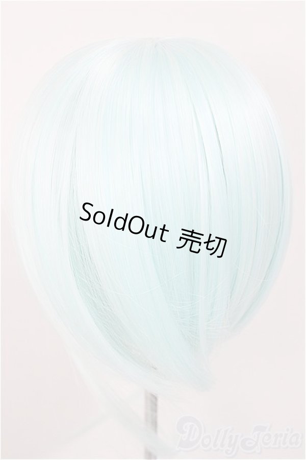 画像2: 9inch/ウィッグ/インチ　BJD　MJD　ドール用 A-25-11-12-399-NY-ZA (2)