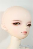 画像2: DOLL MORE/Kid Dollmore Boy - Cecile/BJD　球体関節人形 A-25-11-12-368-NY-ZA (2)