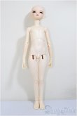画像5: DOLL MORE/Kid Dollmore Boy - Cecile/BJD　球体関節人形 A-25-11-12-368-NY-ZA (5)